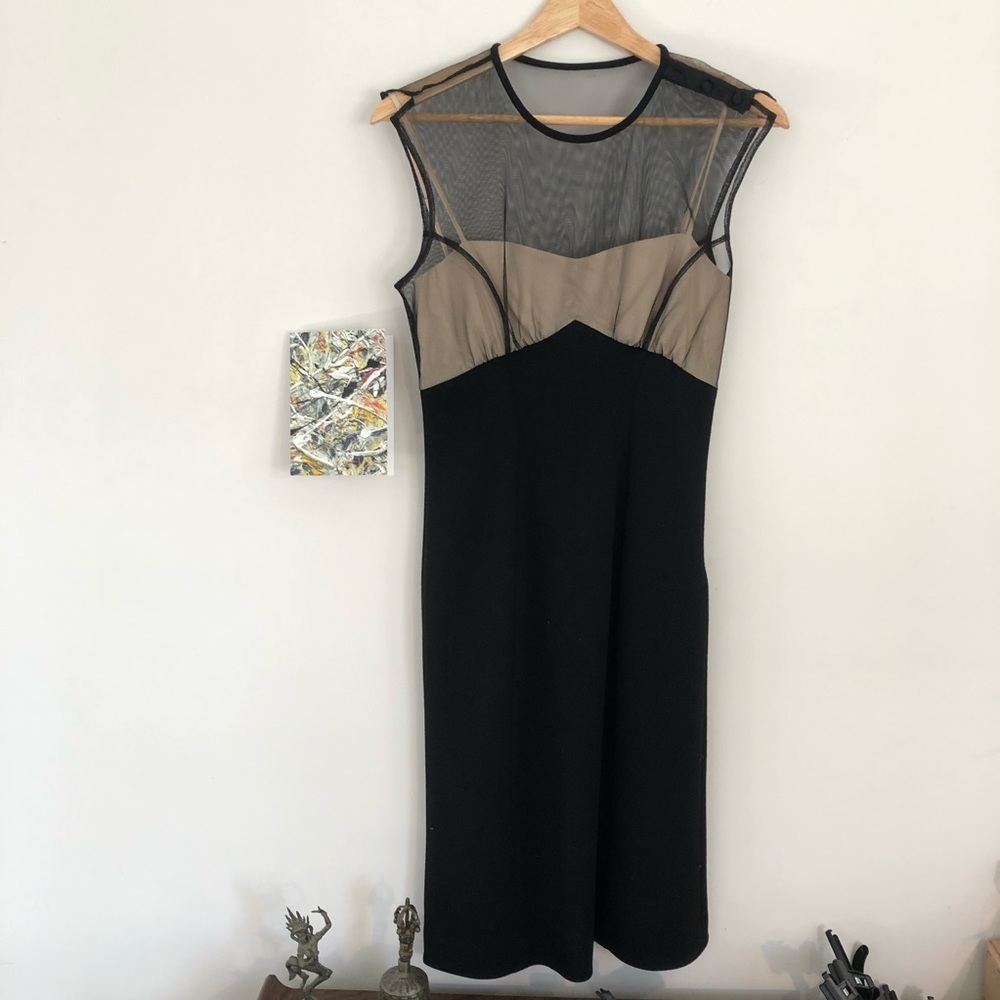 DVF Seductive Sheer Net Bustier Dress